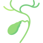 gallbladder