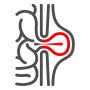 Inguinal hernia line icon, Human diseases concept, hernia sign on white background, Peritonitis icon in outline style for mobile concept and web design. Vector graphics